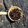 Piment Ancho 1024x1024@2x 1